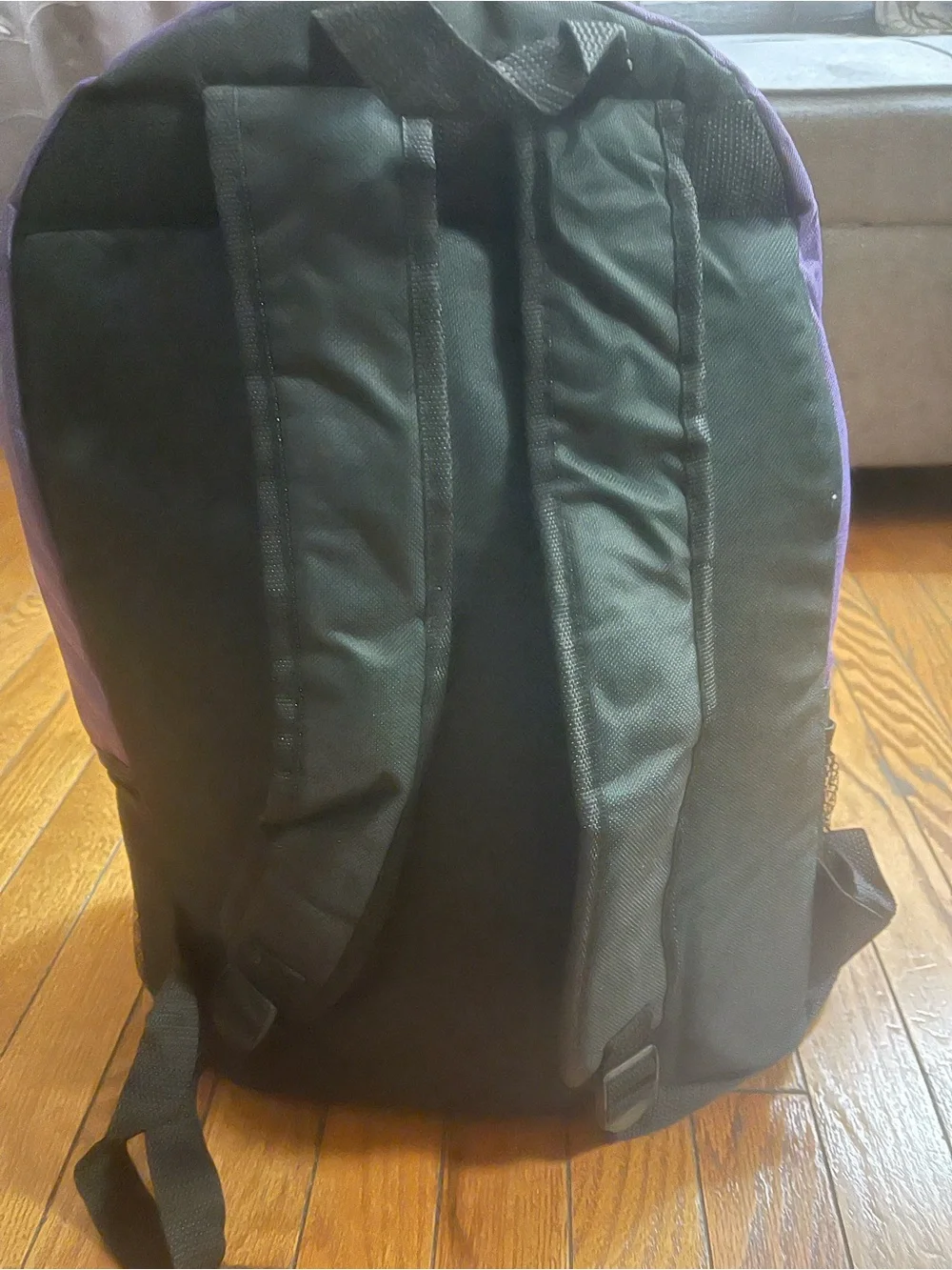 Purple and Gray Backpack